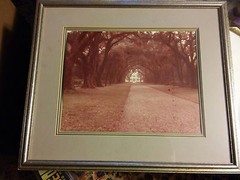 039 VTG Color Framed Photograph Rosedown Plantation House 21×18 Regency Art