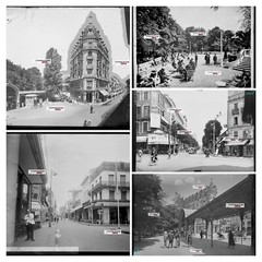 Vichy, Auvergne, Cars, Glass Plate Photos, Lot Of 5 Negatives 13X18 CM