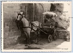 Capri 1950s – Horse Carriage – Italy – Photo 10x7cm