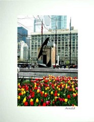 Chicago Tulips & Picasso original signed Giclee photograph by Arnold