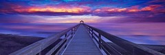 Peter Lik «Sunset Dreams» HUGE 2M – w/ Certificate of Authenticity