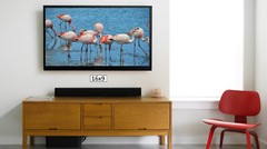 Wild Flamingoes, High Resolution Image, Many Formats, TV Art