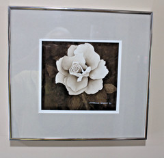 Vtg Gorgeous B&W Rose Dbl Matted Print Signed & Dated 13×14 Framed