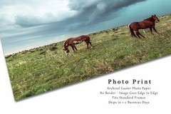 Horses and Thunderstorm on Stormy Day in Colorado Photo Print – Unframed