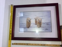Polar Bear Nature Signed Limited Edition Framed Art Print
