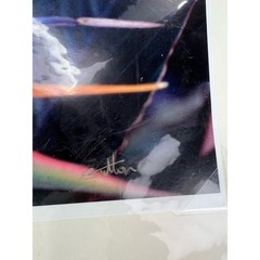 NEW Bird of Paradise 8 × 10 Hawaiian Original Photography Print