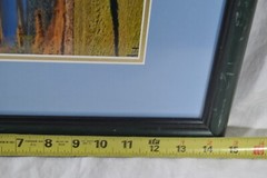 Framed & Matted Photograph by Susan Slapin WA. USA Aluminum Metal Print Signed