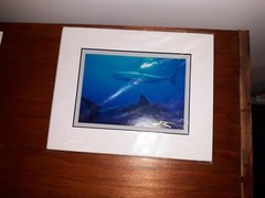 Great White Sharks, signed/matted 8×10 photograph by Mark J. Thomas