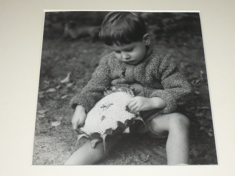 Juliette Lasserre Ziegert Tirage Argentique Époque Enfant Tournesol 1948 Adep