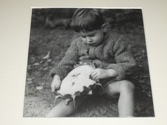 Juliette Lasserre Ziegert Tirage Argentique Époque Enfant Tournesol 1948 Adep
