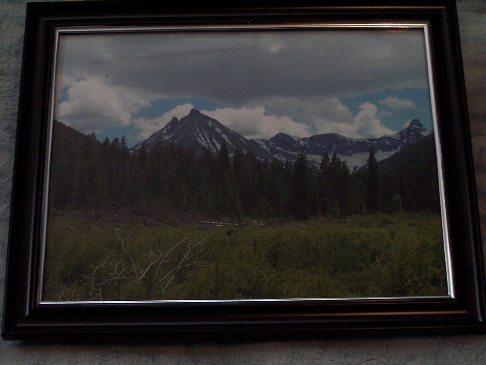 photo Mountain Valley Forest with Frame 8 x 10 size