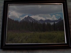 photo Mountain Valley Forest with Frame 8 x 10 size