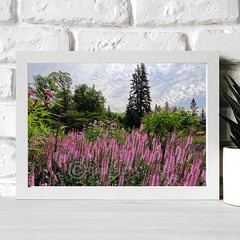 Tall Pink Flowers, Desktop Wallpaper Background, Wall Art, Non-AI Digital Photo