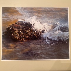 Wave after Wave 11” x 14” Giclee Print