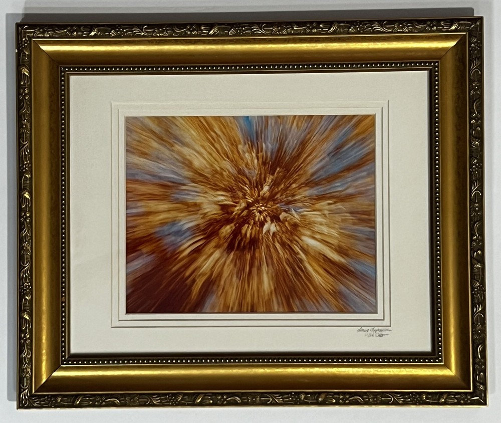 Photograph of Autumn Leaves Titled «Leave Explosion» Matted & Framed 15″x18″