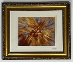 Photograph of Autumn Leaves Titled «Leave Explosion» Matted & Framed 15″x18″