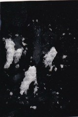 Ferrotype / Tintype – Child Portrait – Circa 1880s?