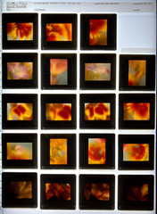 ALAN PAPPE Original 35mm Color Slide Transparency Collection Art Photography 197