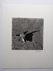 ARTHUR ROTHSTEIN (1915–1985) – Skull Bad Lands, South Dakota 1936
