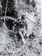 Fidel Castro in the Sierra Maestra – Iconic Jungle Portrait by Korda