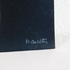 Iris Stem Green Foam Core Mounted Signed D Carlton Photograph Pacific NW Artist