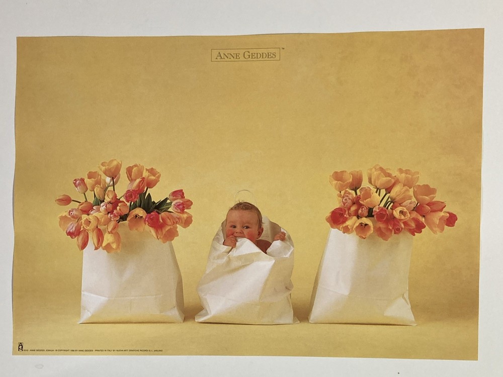 Ann Geddes, Baby in a White Cloth ,Original Poster # 8316