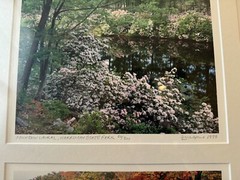 Nick Zungoli Set of Four Framed Photographs Signed Hundson Valley Photographer