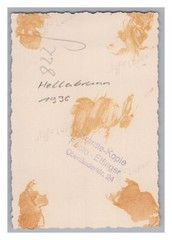 München Tierpark Hellabrunn 1936 – Eisbär – Foto Elfinger Oberländerstraße
