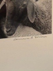 SELLING SHEEP IN KASHGAR MARKET.ORIGINAL SIGNED SILVER PRINT BY LARRY SNIDER