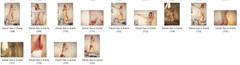 Full Set 122 Fine Art Photos 8×10 Premium Glossy Prints DANIEL SEA Zianle