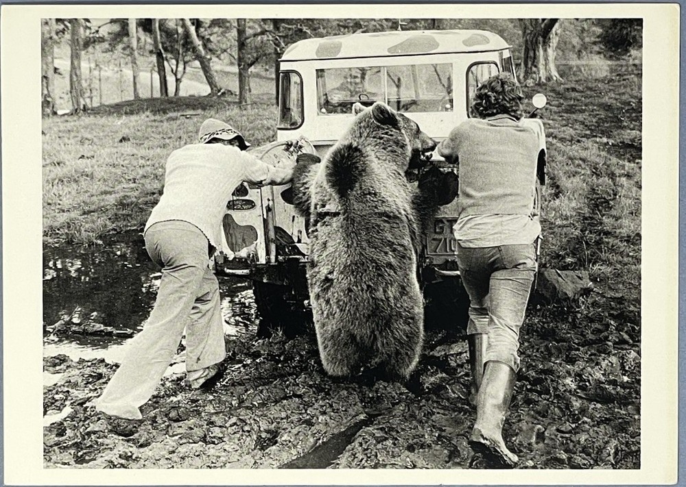 Bear Pushing Truck Art Photo Print Card By John Drysdale Fotofolio 4.25”x6”