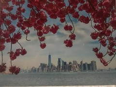 Metal Print Professional Photograph on Metal «New York Across the Bay» 16″ by 20