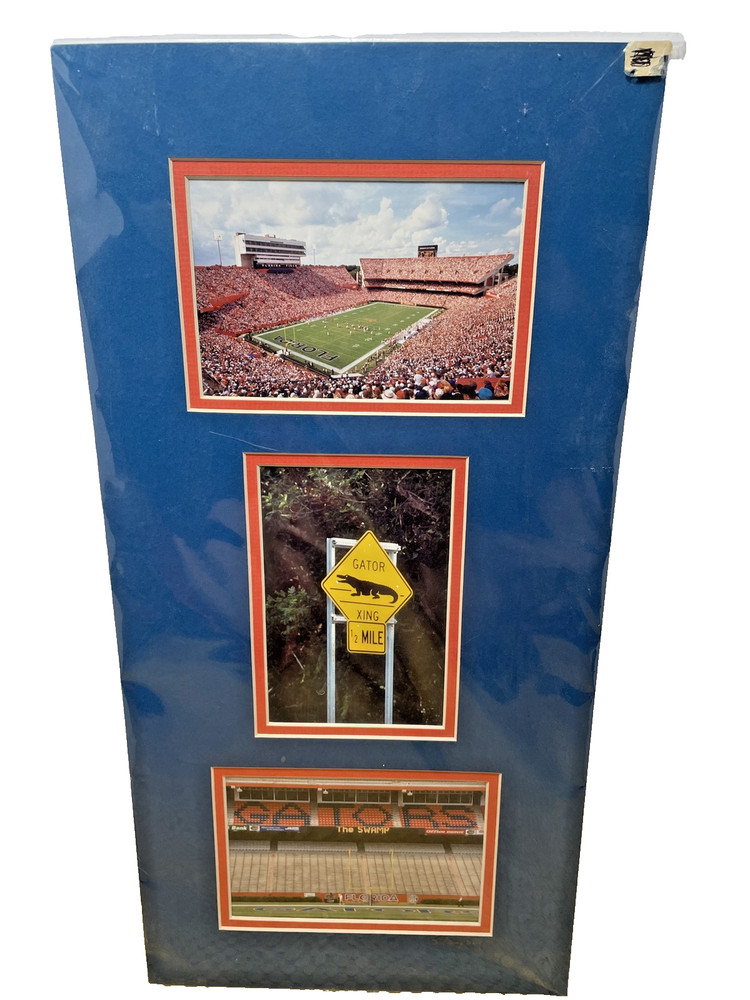 Steve Vaughn Signed 20X10 Photography Gator Country UF Florida Gators Football