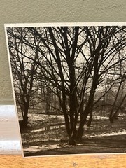 Arthur Gray Standard Oil Photographer Cleveland Ohio Americana Wooded Landscape!