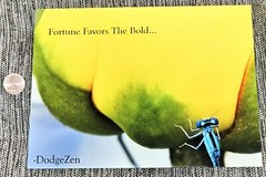 DODGEZEN MOMENTS IN TIME EDITION MY PHOTOGRAPHS PRINTED ON GLASS. INSPIRATIONAL