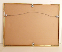 Color Photograph «Drying Saris» by Lisa Kristine Framed Signed 2007 EUC