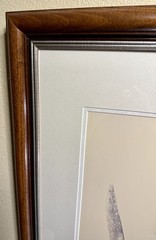 Framed Wildlife Photography “Porcupine In Snow W/Antler” Titled “Tina Turner”