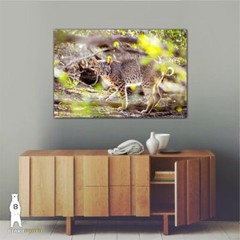 Bobcat Photography Prints, Wildlife Art, Nature Décor, Animal Lover Gifts