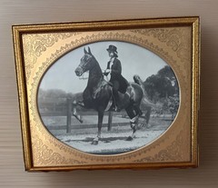 VTG Jay A. McClasky Fox Hunt Horse Saddlebred ~Copper Frame~Photograph /Signed