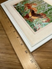 Lot of 3 Photo Monarch Butterfly 5×7 Art Photography Matted Plastic Framed 10×8”