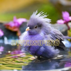 Digital Image Picture Photo Wallpaper Background Desktop Art And Phone Desktop