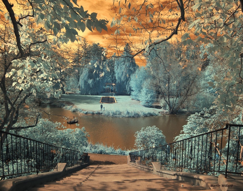 Beautiful infrared photograph mounted on board. NOT AI.