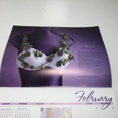 Lifebridge BRAVO 2008 Calender Art Bra Breast Cancer Awareness Avant Garde