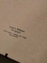 ​🇮🇹 SIGNED 3pcs Boutique Gallery Set – Italian Collection by Todd A. Williams