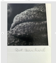 RUTH BERNHARD Signed Gelatin Silver Print B&W 7 1/2 x 9 1/2 NOT a Photo Gravure