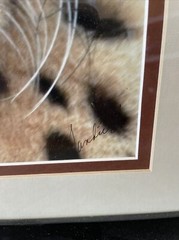 Wildlife Photography Cheetah/sandie Smith/18×22/framed