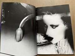 Super RARE! Signed! Daido Moriyama: it, 2006 Tokyo: Rat Hole Gallery Kitamura