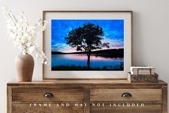 Nature Photography Print – Picture of Tree in Lake on Autumn Evening in Oklahoma