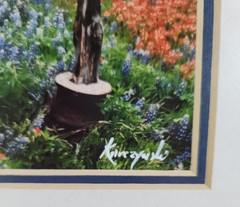 Vintage Richard Korczynski Texas Flag & Bluebonnet Original Photo Collage