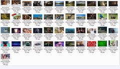 100 Amazing Mixed Desktop Computer Backgrounds Wallpaper Bundle Pack 347